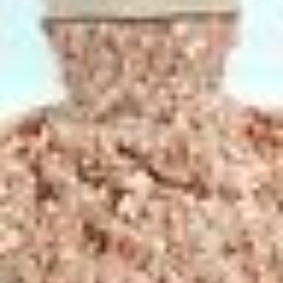 Evening by ECI Strapless Floral Applique Blush Dress Size 4 - Picture 9 of 11